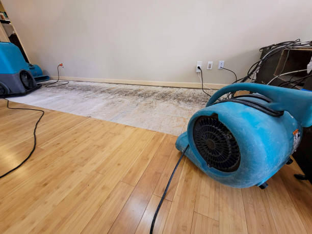 Professional Ceiling Water Damage Repair technician working in Clarks Grove, MN